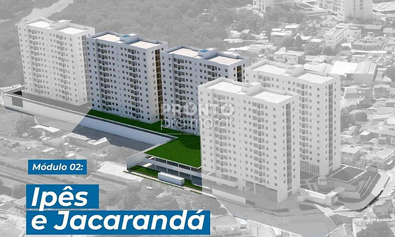 Apartamento Com 3 Qu...