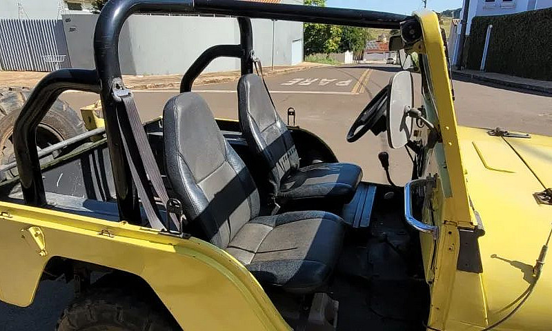 Jeep Willys 1959 Rai...