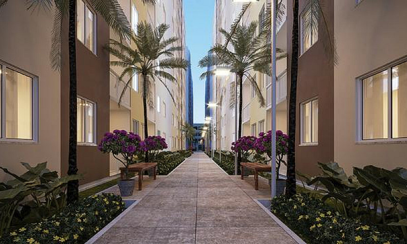 Jardim Bouganville...