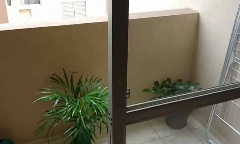 Apartamento Com 3 Do...