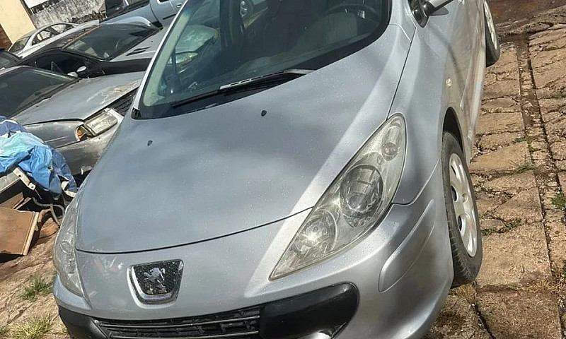 Peugeot 307 Soleil/ ...