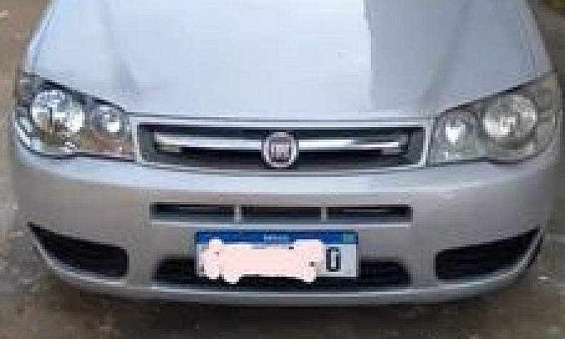 Palio Celebretion Ec...