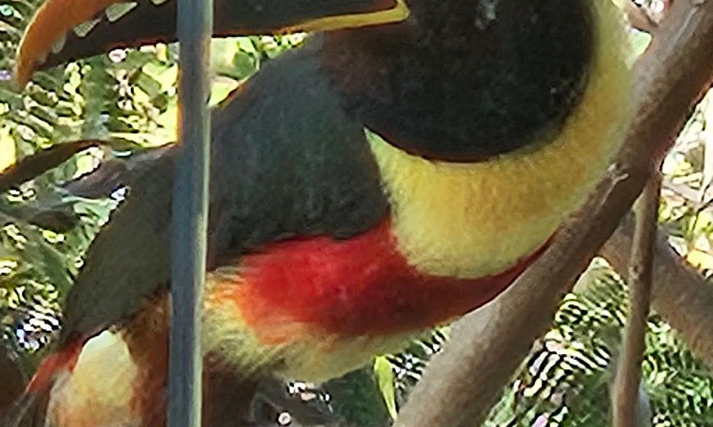 Ccsw5-Sudoeste-Ed.be...