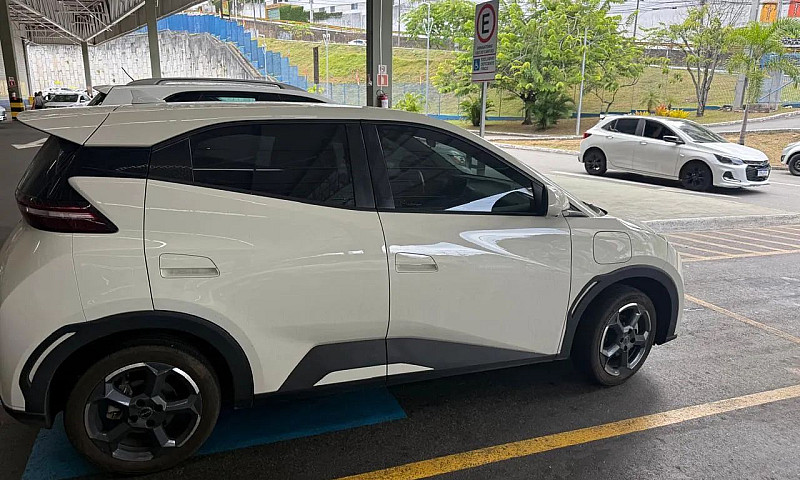Byd Dolphin Mini (El...