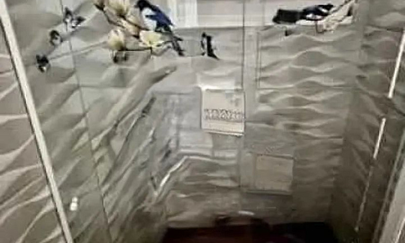 Apartamento : / Resi...