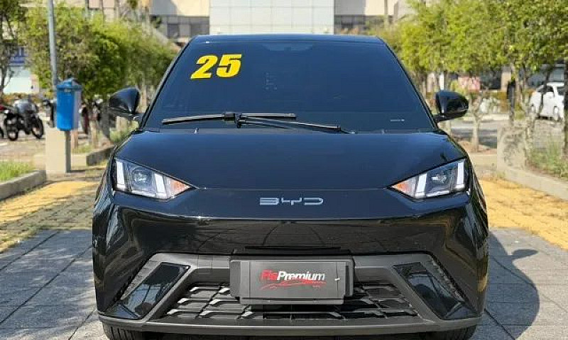 Byd Dolphin Mini (El...