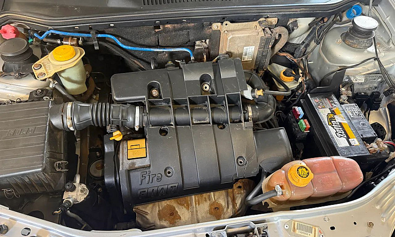 Fiat Palio Celebrati...