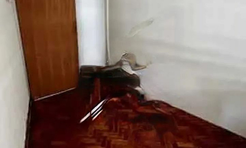Apartamento : / Resi...
