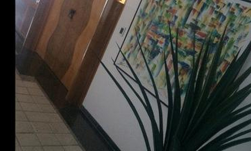 346 M² Na Av Boa Via...