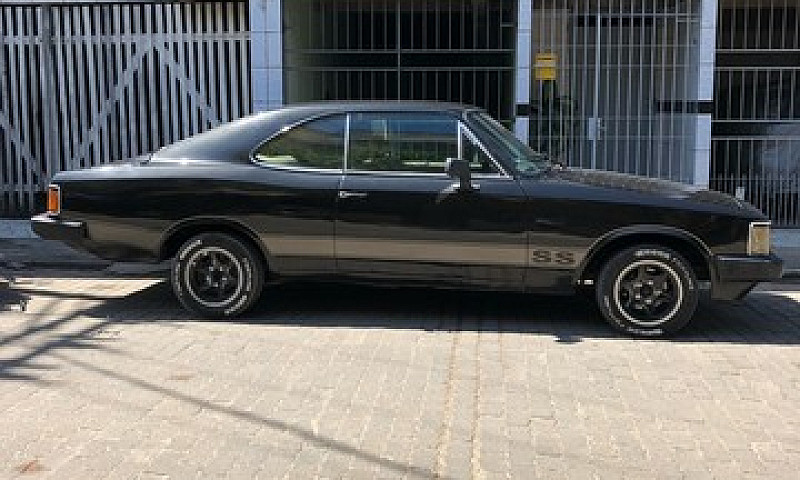 Opala 81 ...
