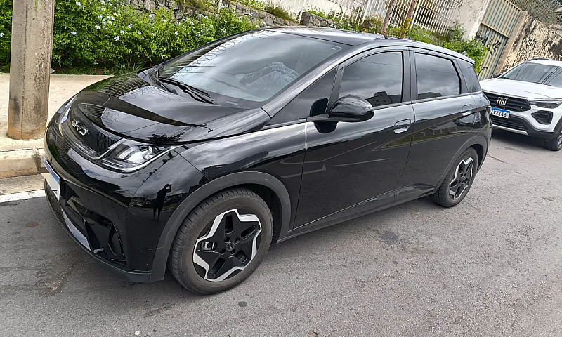 Byd Dolphin Ev (Elét...