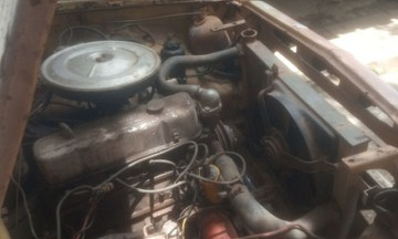 Opala Pé De Burro 78...