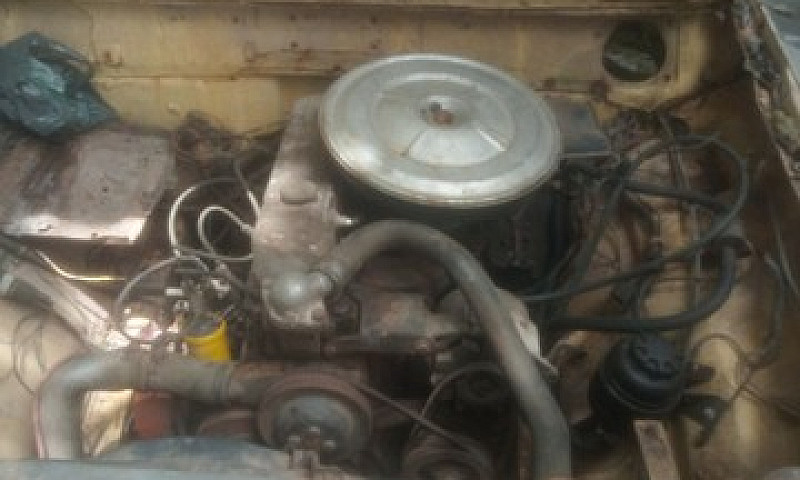 Opala Pé De Burro 78...