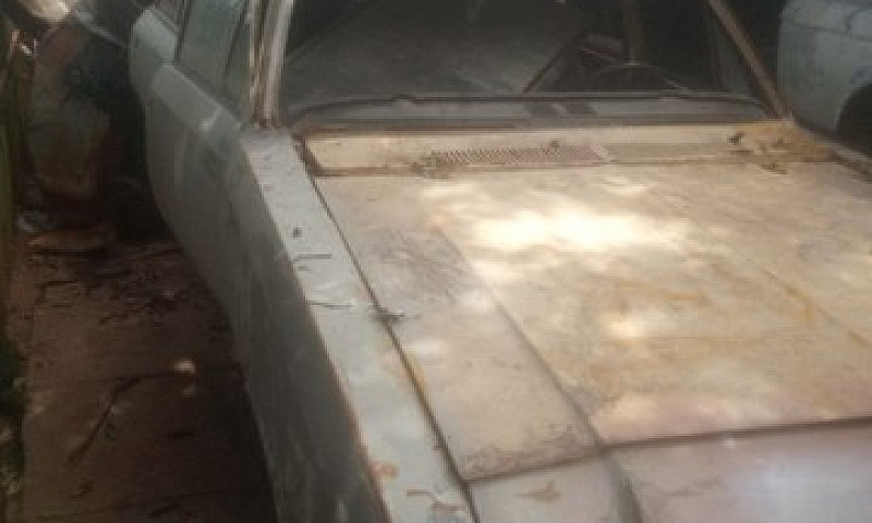 Opala Pé De Burro 78...