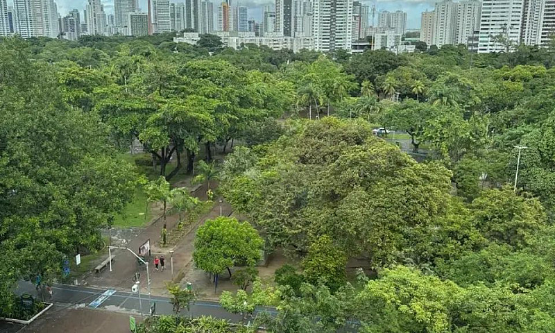 Lindo Apartamento No...