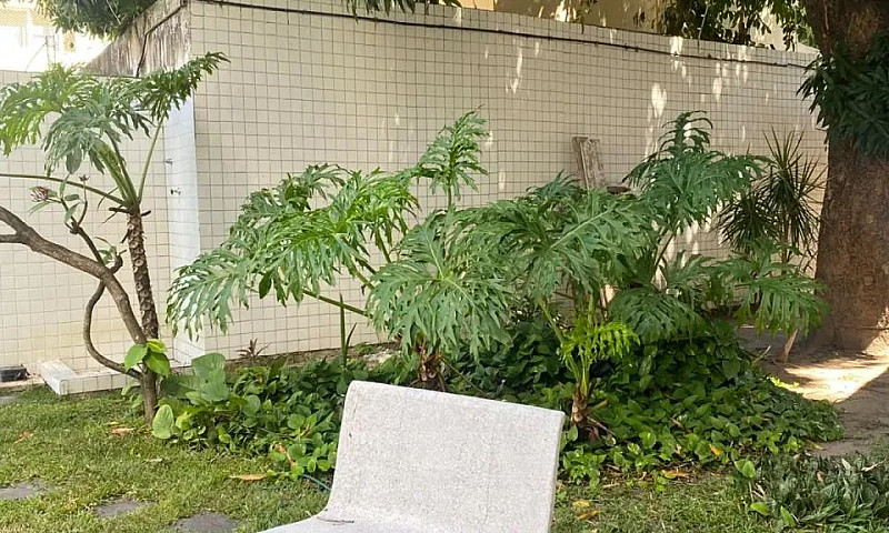 Apartamento Para Loc...
