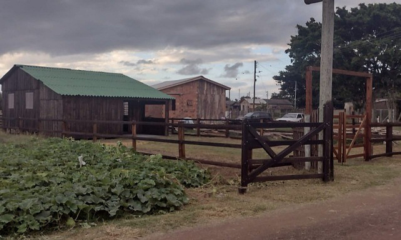 Vendo Casa Em Palmar...