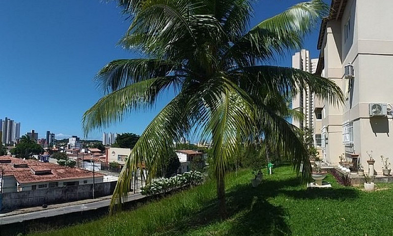 Apto Em Capim Macio ...