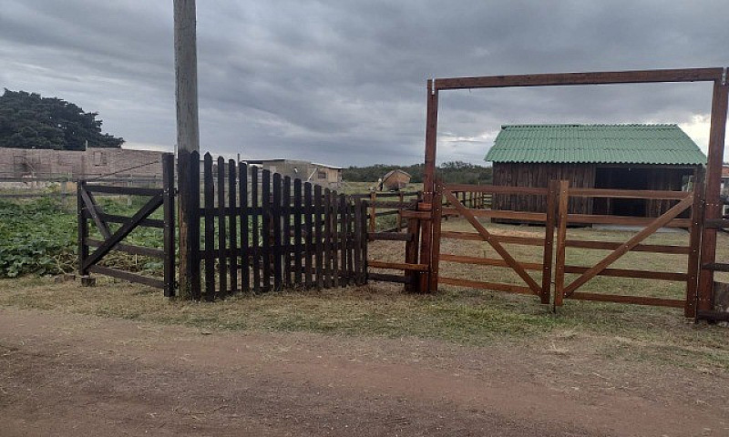 Vendo Casa Em Palmar...