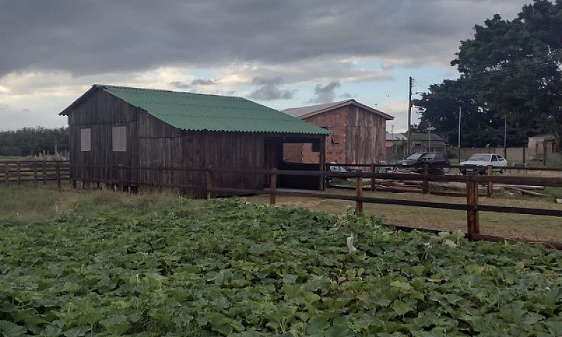 Vendo Casa Em Palmar...