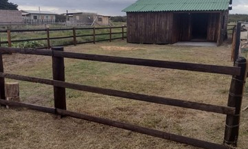 Vendo Casa Em Palmar...