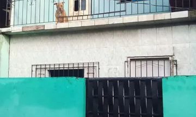 Vendo Casa Altas E B...