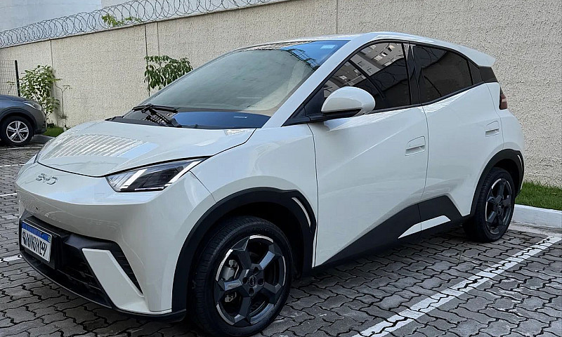 Byd Dolphin Mini (El...