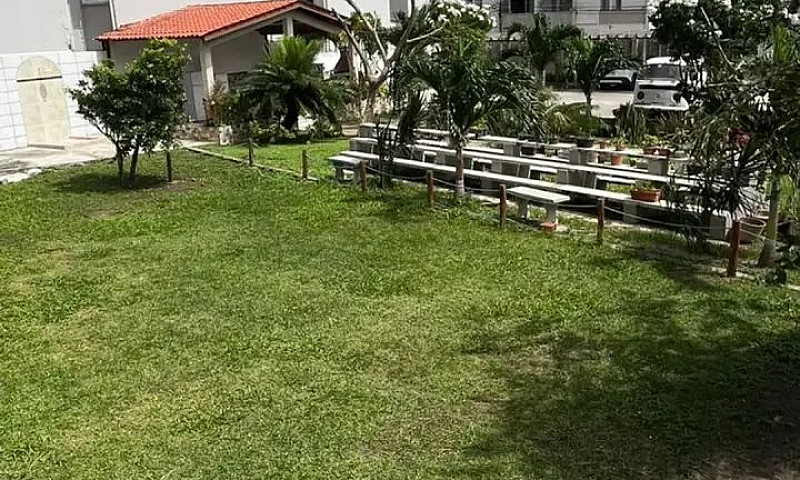 [Pau-Amarelo-76261] ...