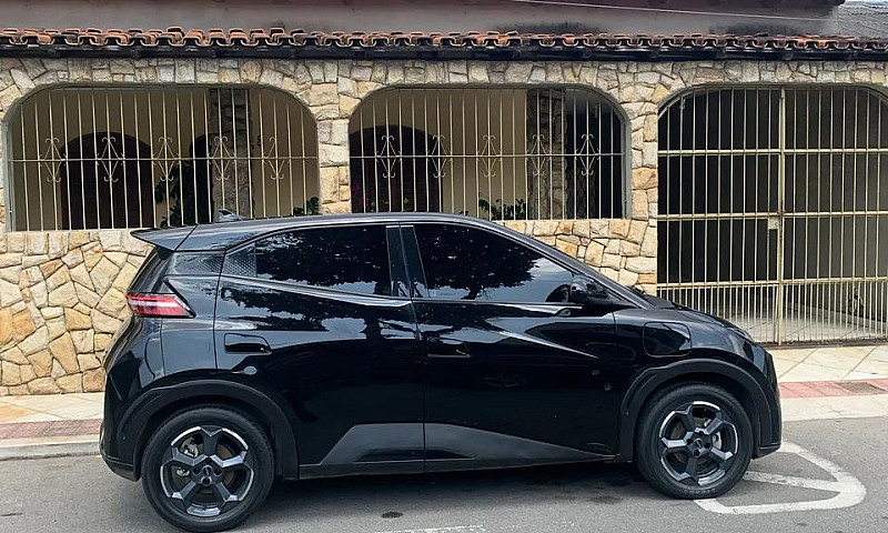 Byd Dolphin Mini (El...