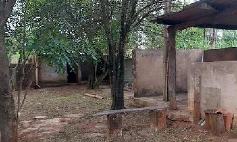 Casa No Jardim Colum...