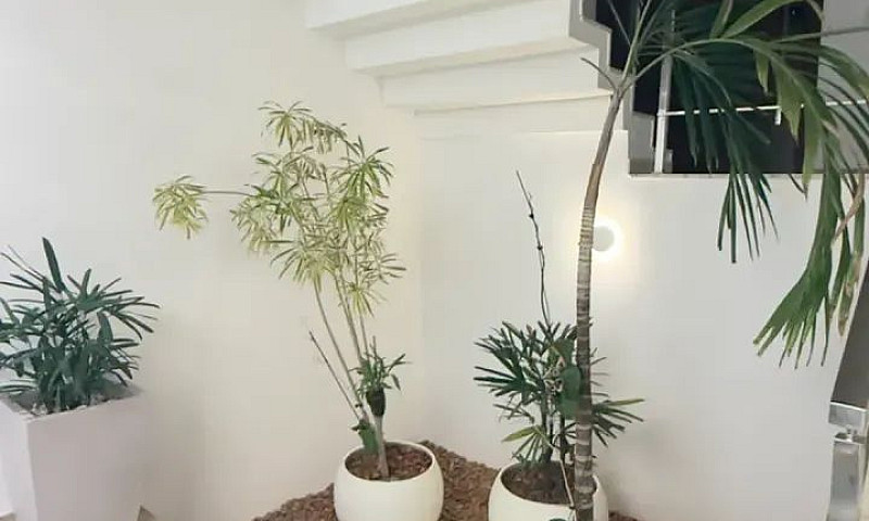 Casa Para Locação No...