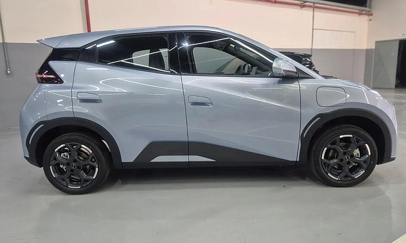 Byd Dolphin Mini (El...