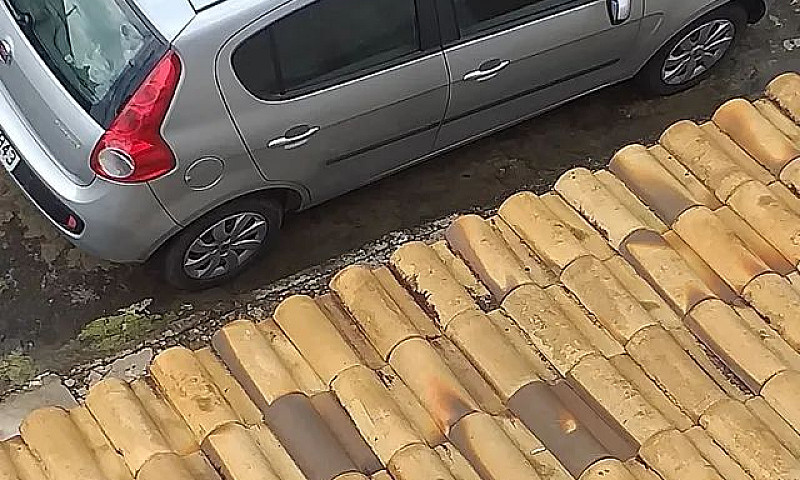 Vendo Pálio 2016...