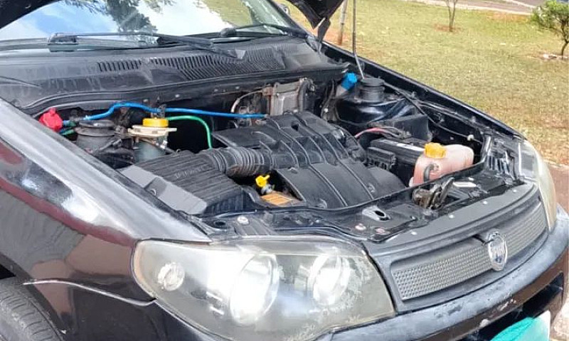 Fiat Palio Celebrati...