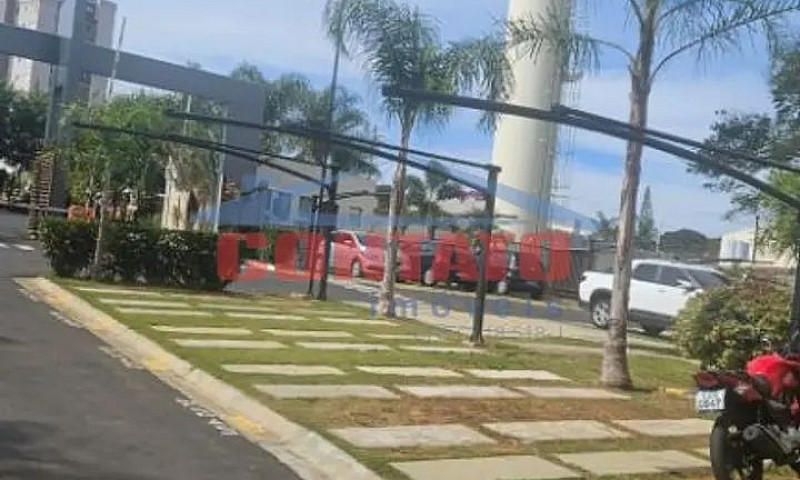 Apartamento Padrão P...