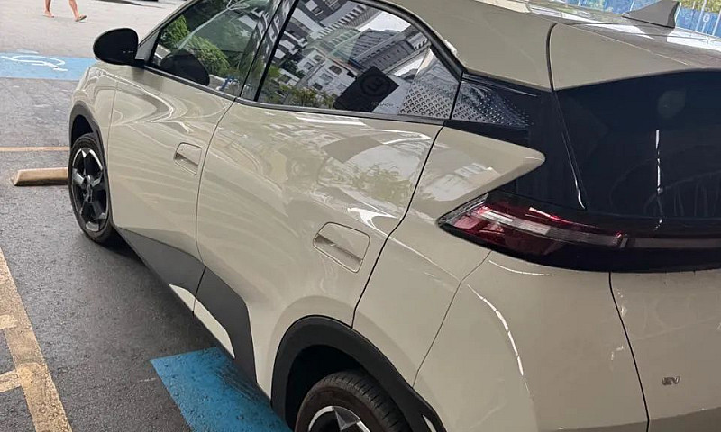 Byd Dolphin Mini (El...