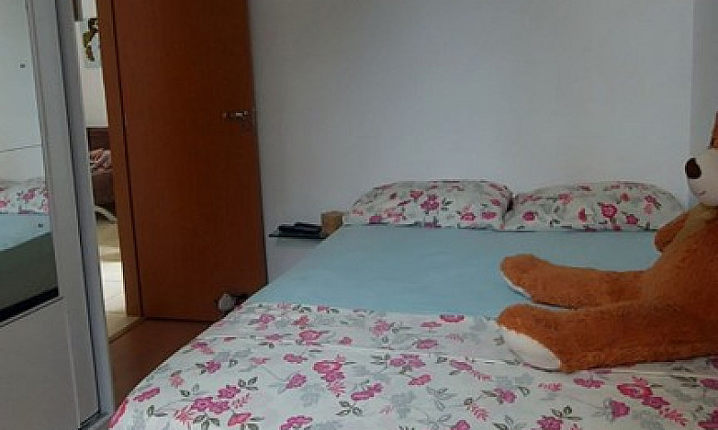 Aluguel São João Car...