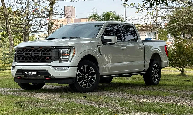 Ford F-150 Platinum ...