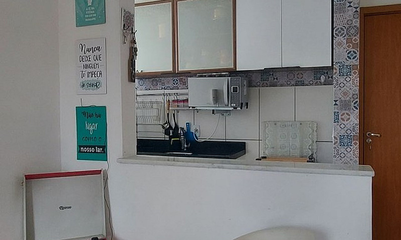 Aluguel São João Car...