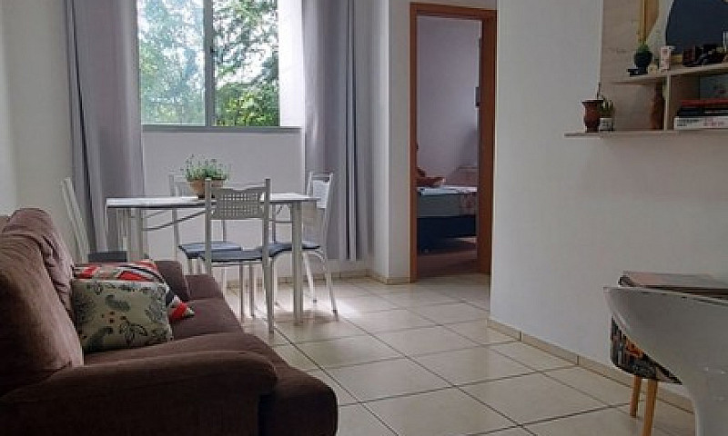 Aluguel São João Car...