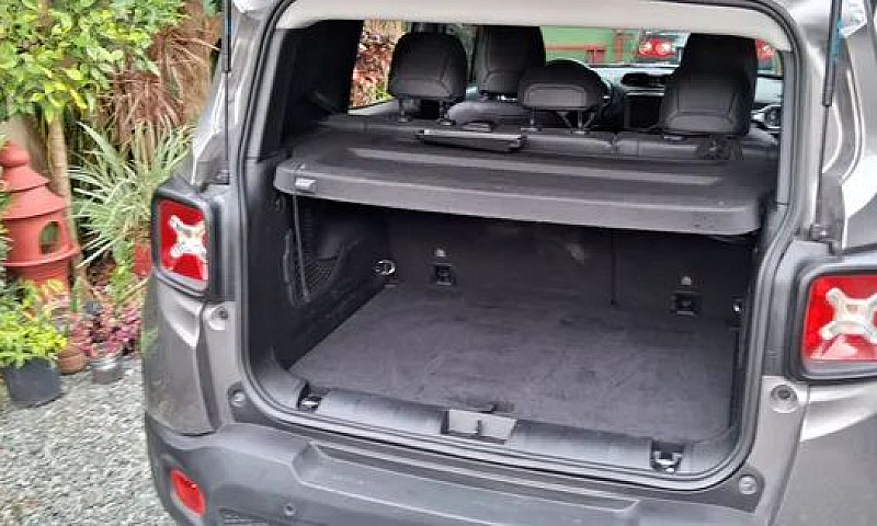 Renegade Limited 1.8...