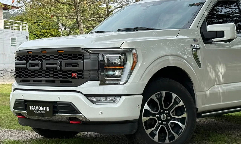Ford F-150 Platinum ...