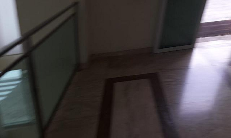 Alugo Mandarim 1/4 M...