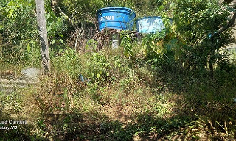 Vendo Casa Olaria ...