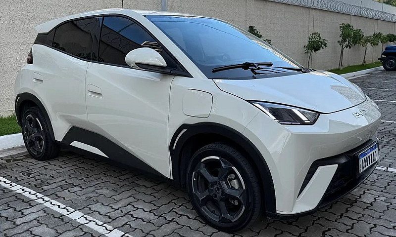 Byd Dolphin Mini (El...