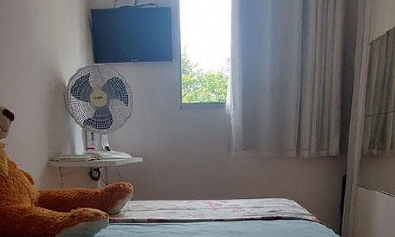 Aluguel São João Car...