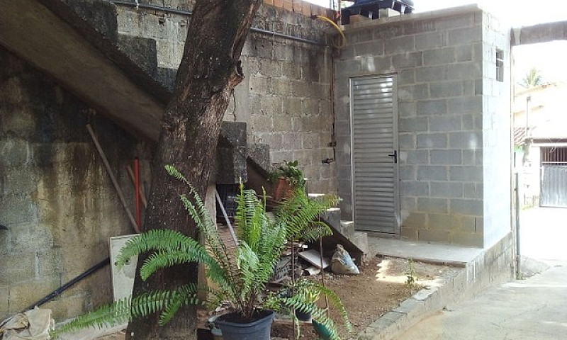 Area 300Mt2 Com Apar...