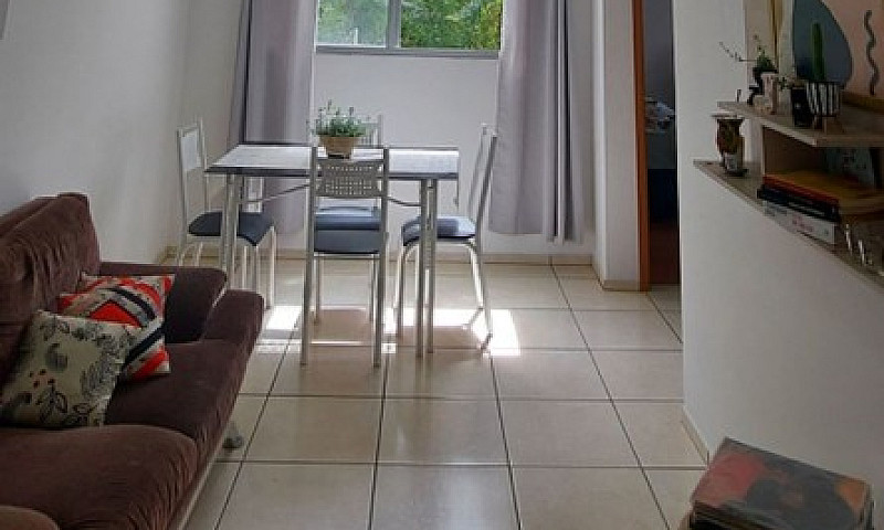 Aluguel São João Car...