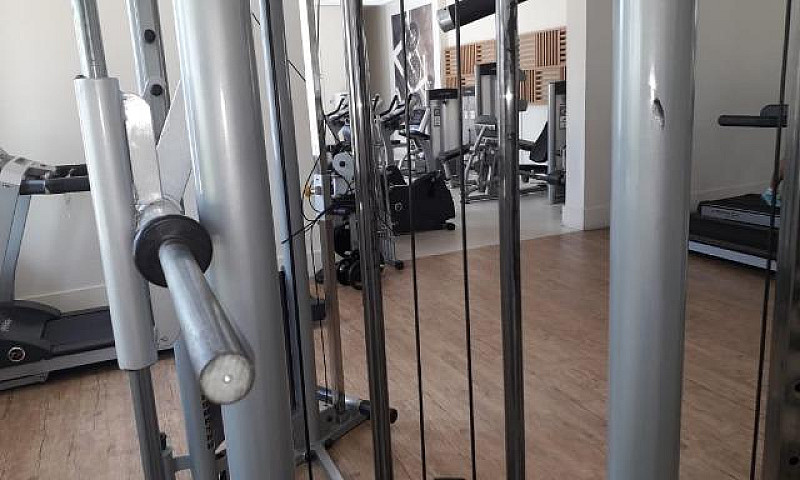 Alugo Mandarim 1/4 M...