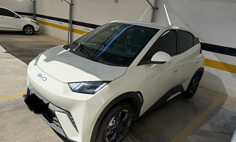 Byd Dolphin Mini (El...